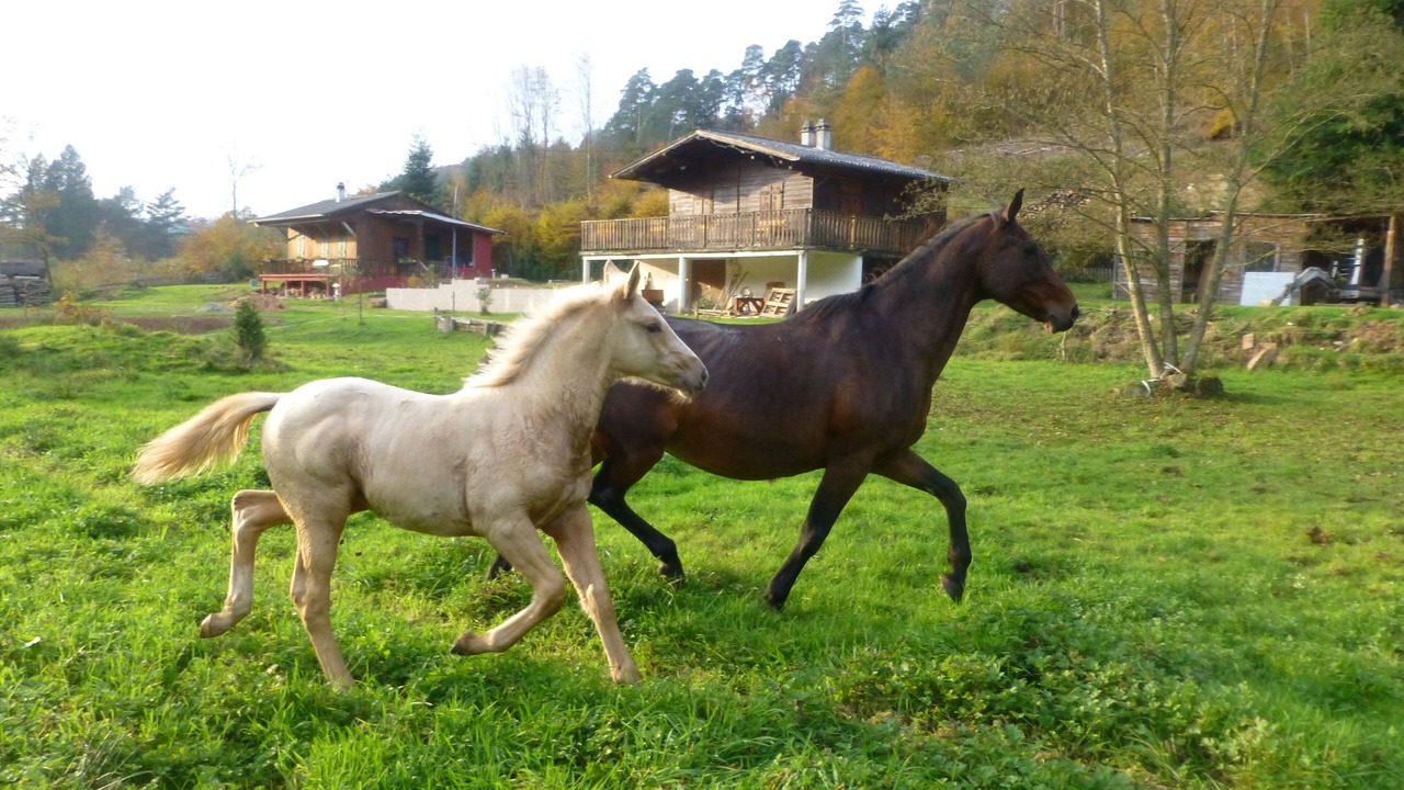 Photo of Outdoor in Soucht