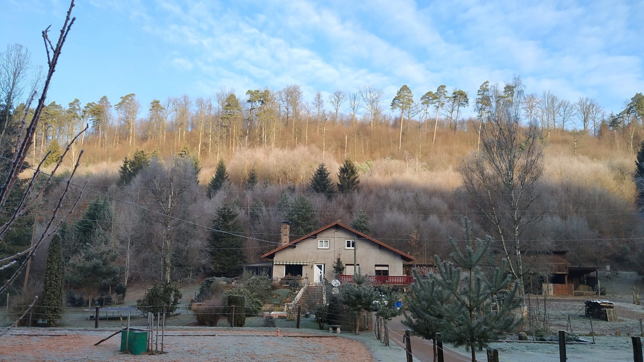 Photo of Outdoor in Soucht