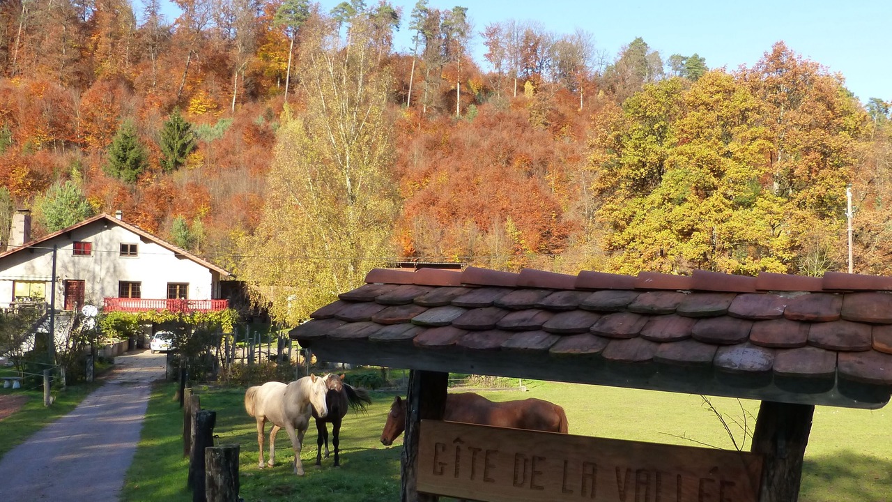 Photo of Outdoor in Soucht