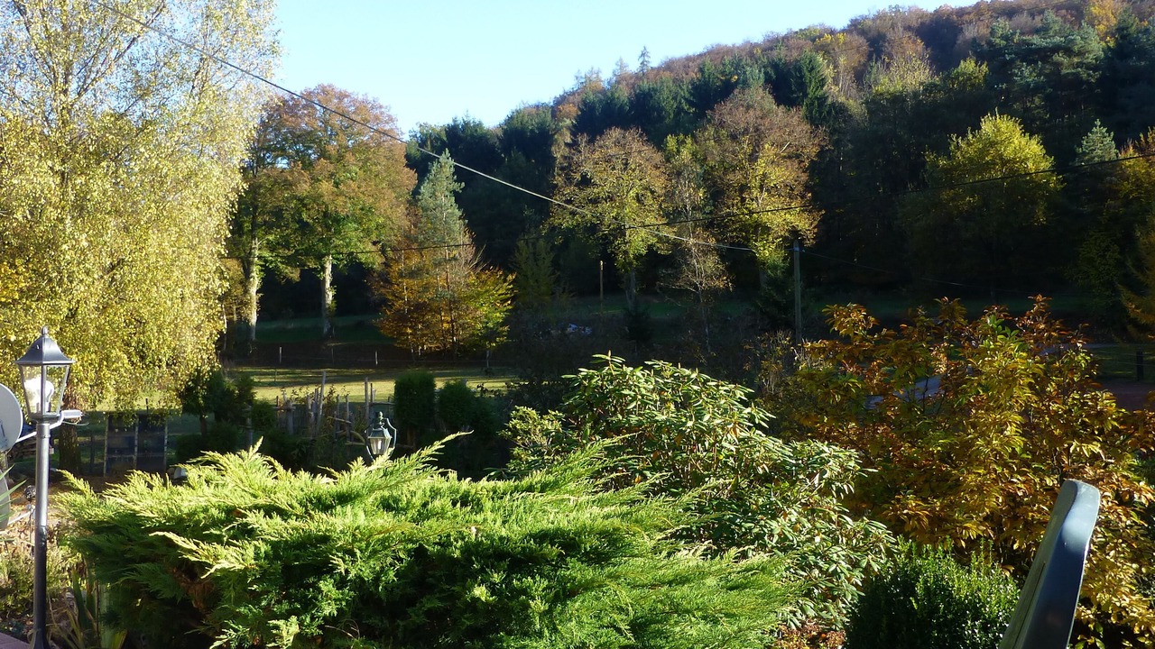 Photo of Outdoor in Soucht