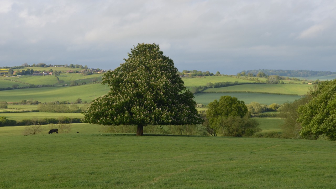 Photo of Others in Hartwell