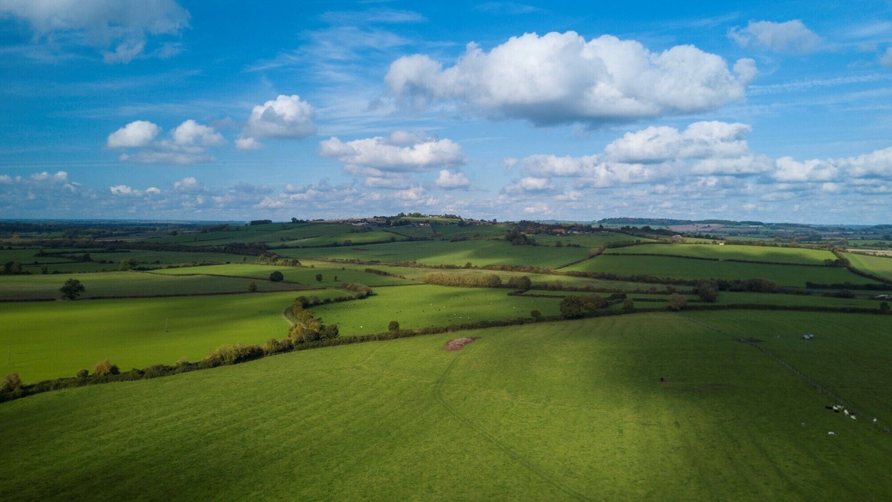 Photo of Others in Hartwell