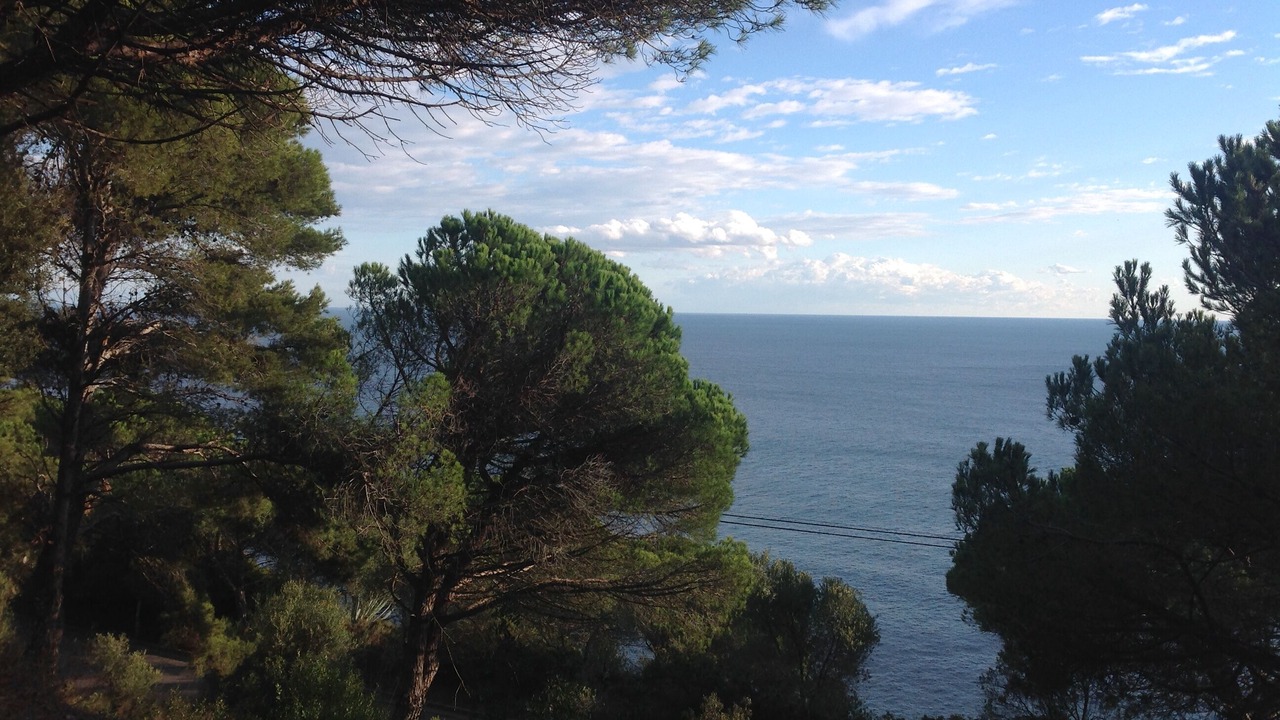 Photo of Others in Sant Feliu de Guixols