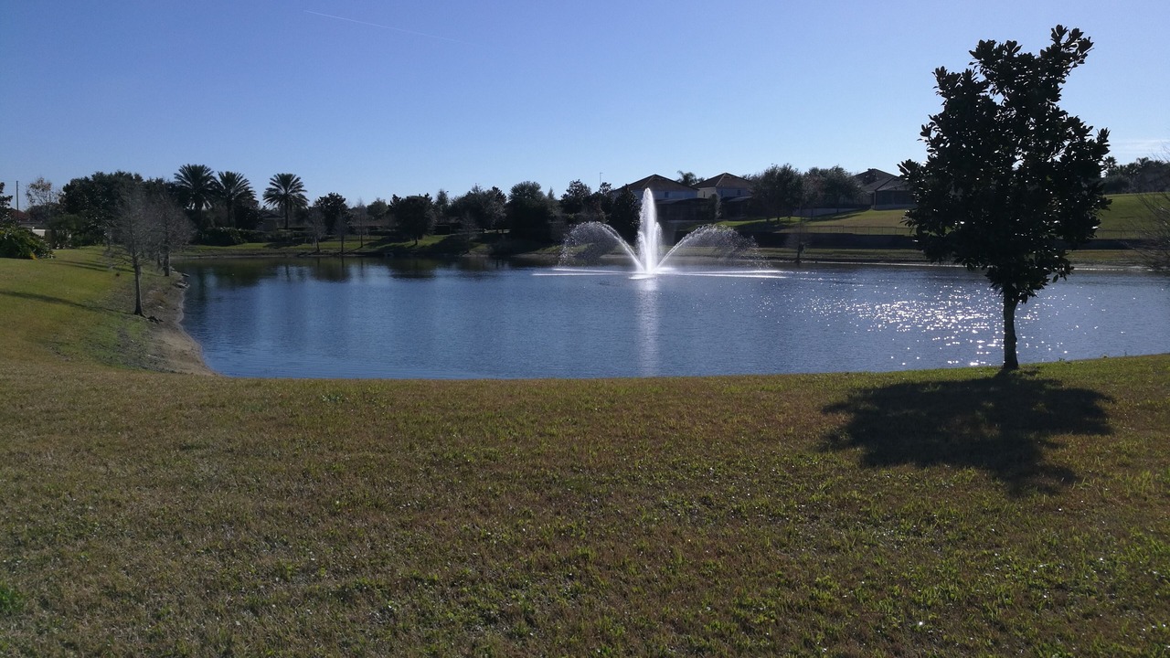 Photo of Outdoor in Windsor Hills