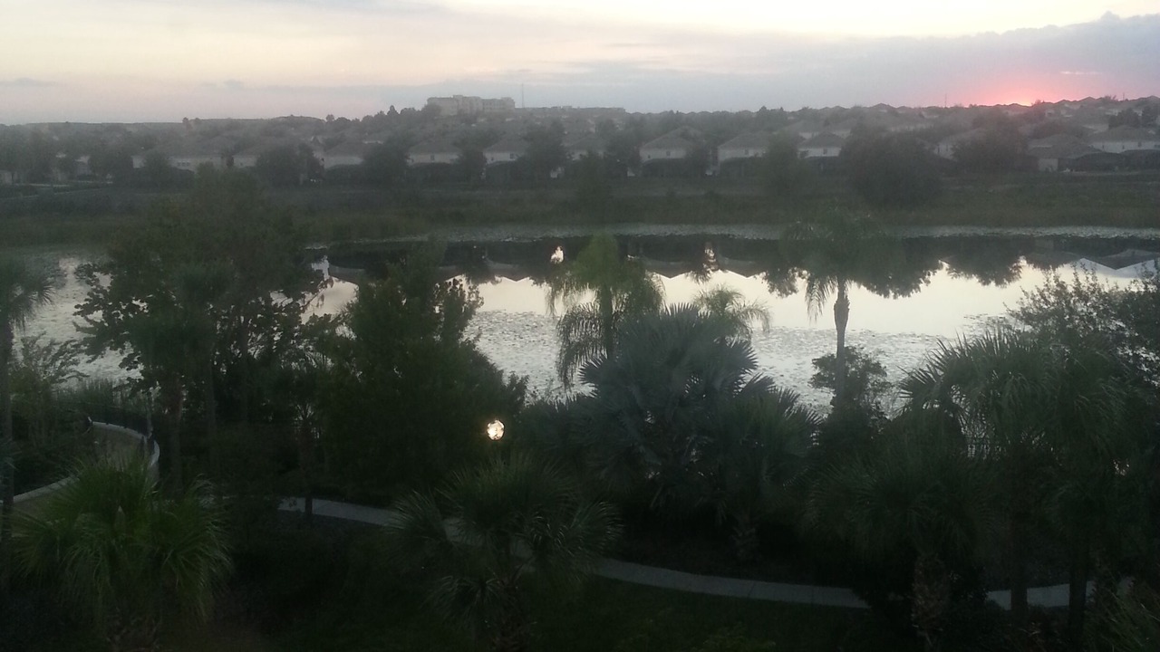 Photo of Outdoor in Windsor Hills