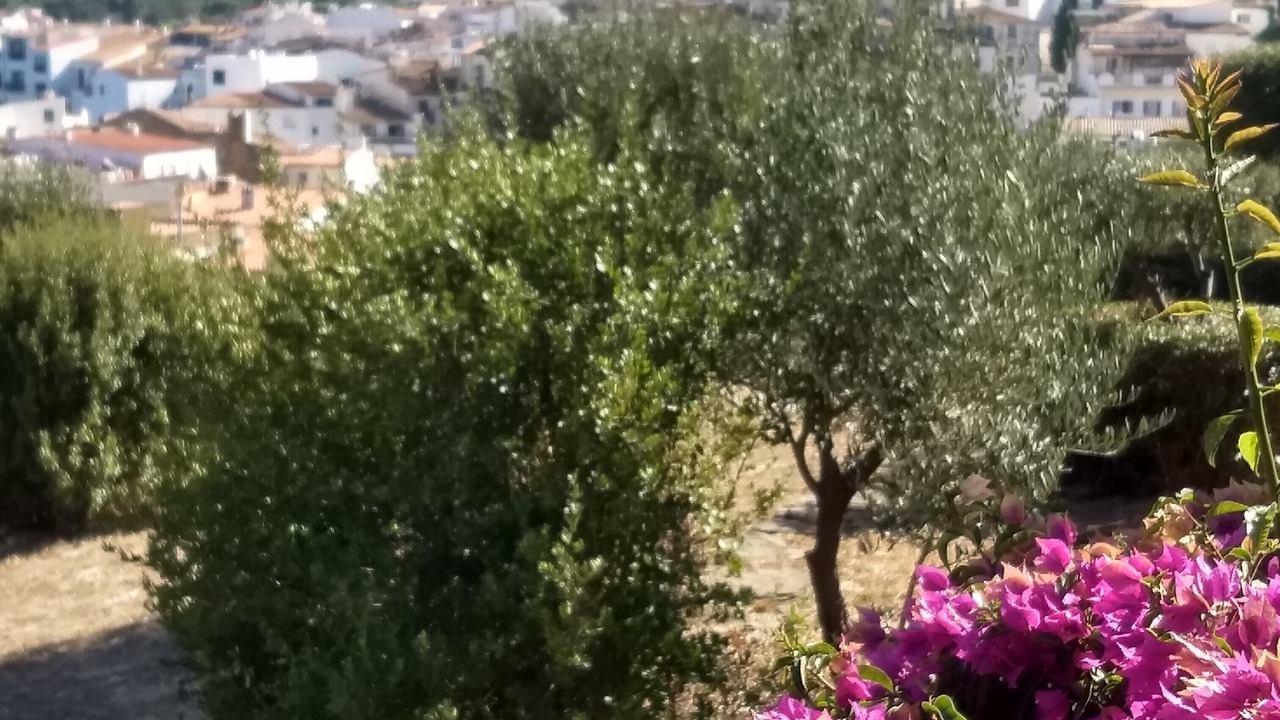 Photo of Outdoor in Portlligat