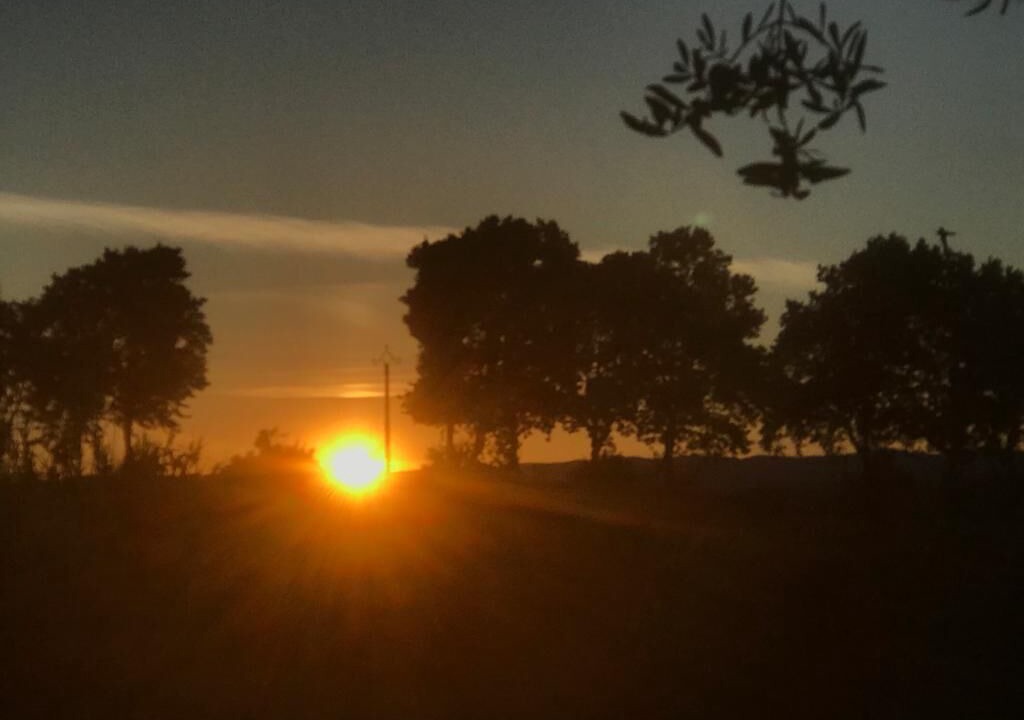 Photo of Others in Capestang