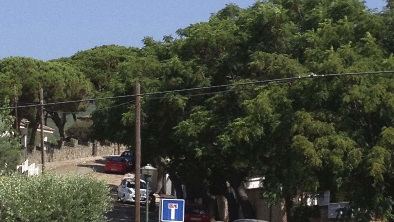 Photo of Others in Canet de Mar