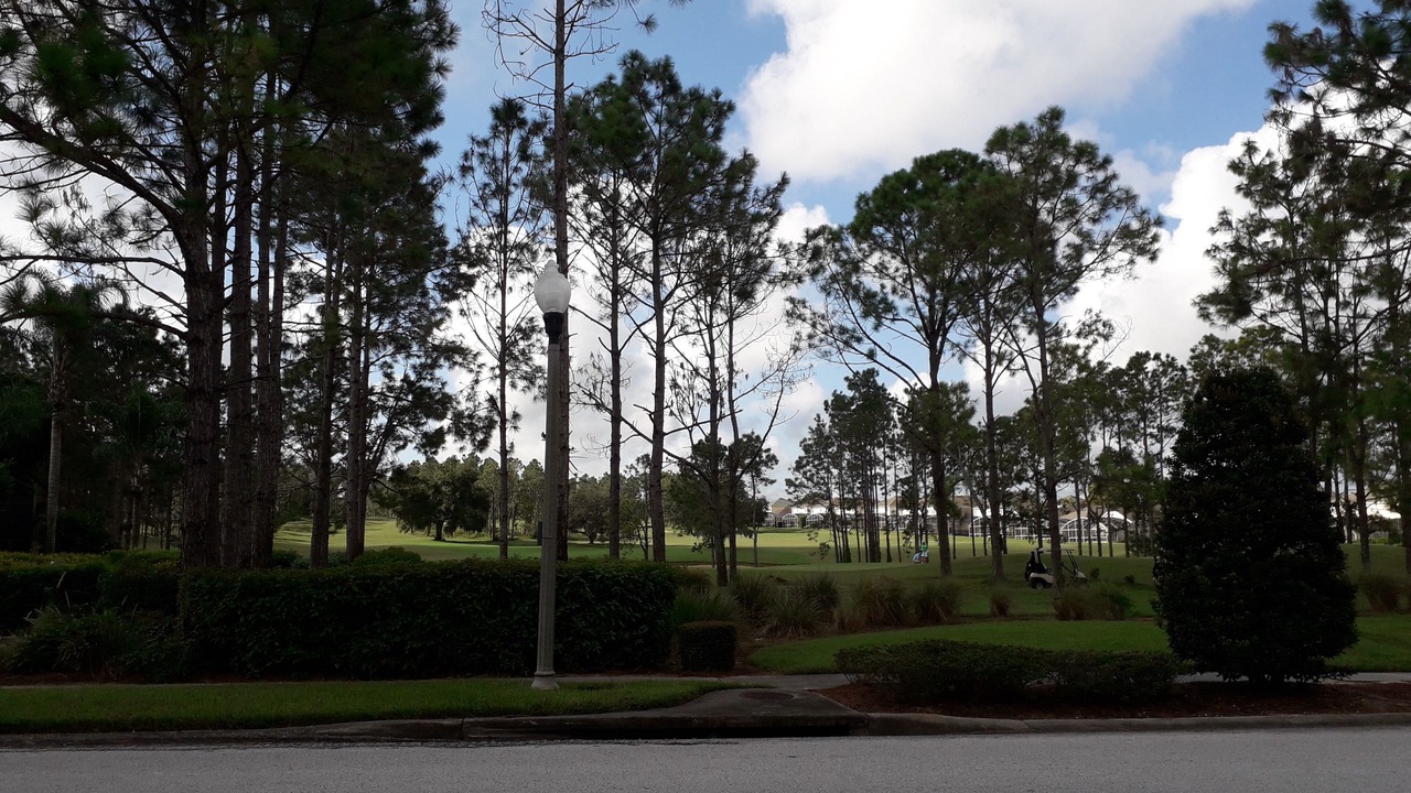 Photo of Others in Highlands Reserve