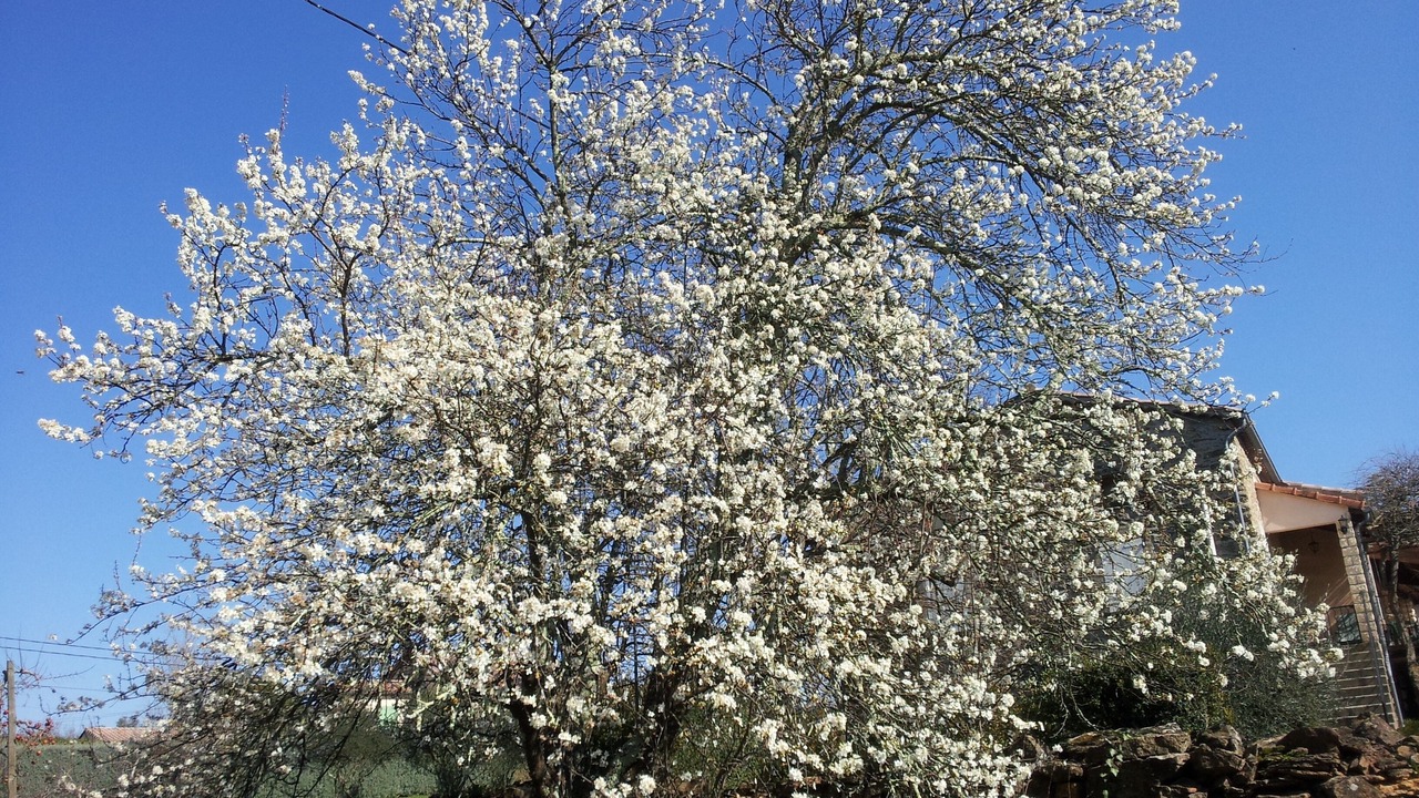 Photo of Outdoor in Laurac-en-Vivarais
