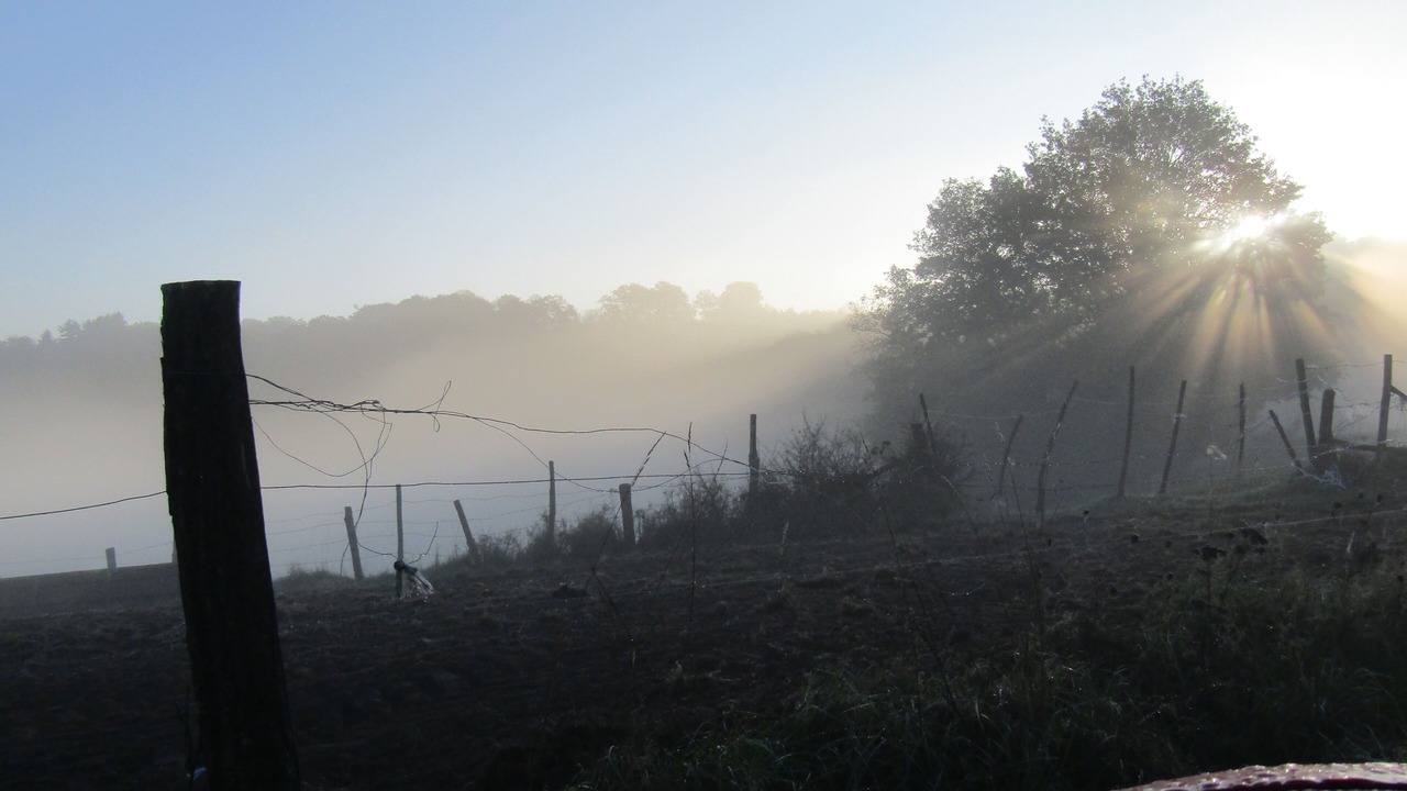 Photo of Outdoor in La Fouillade