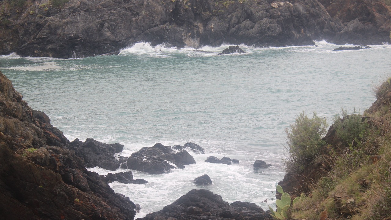 Photo of Others in Cerbere