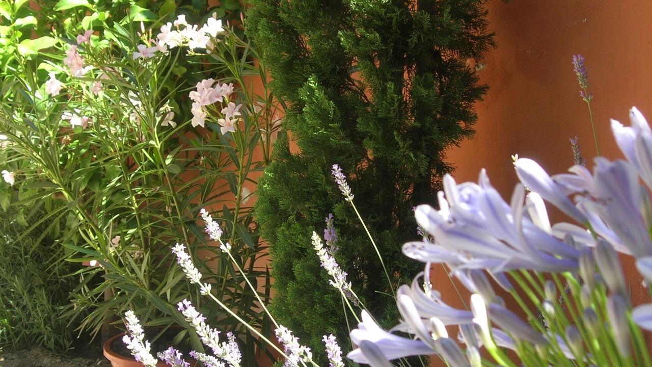 Photo of Outdoor in Les Remparts