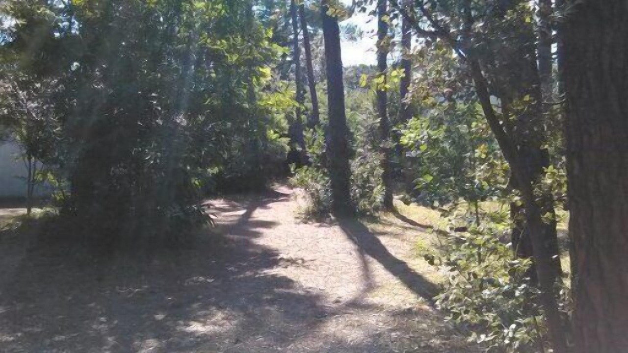 Photo of Outdoor in Jard-sur-Mer