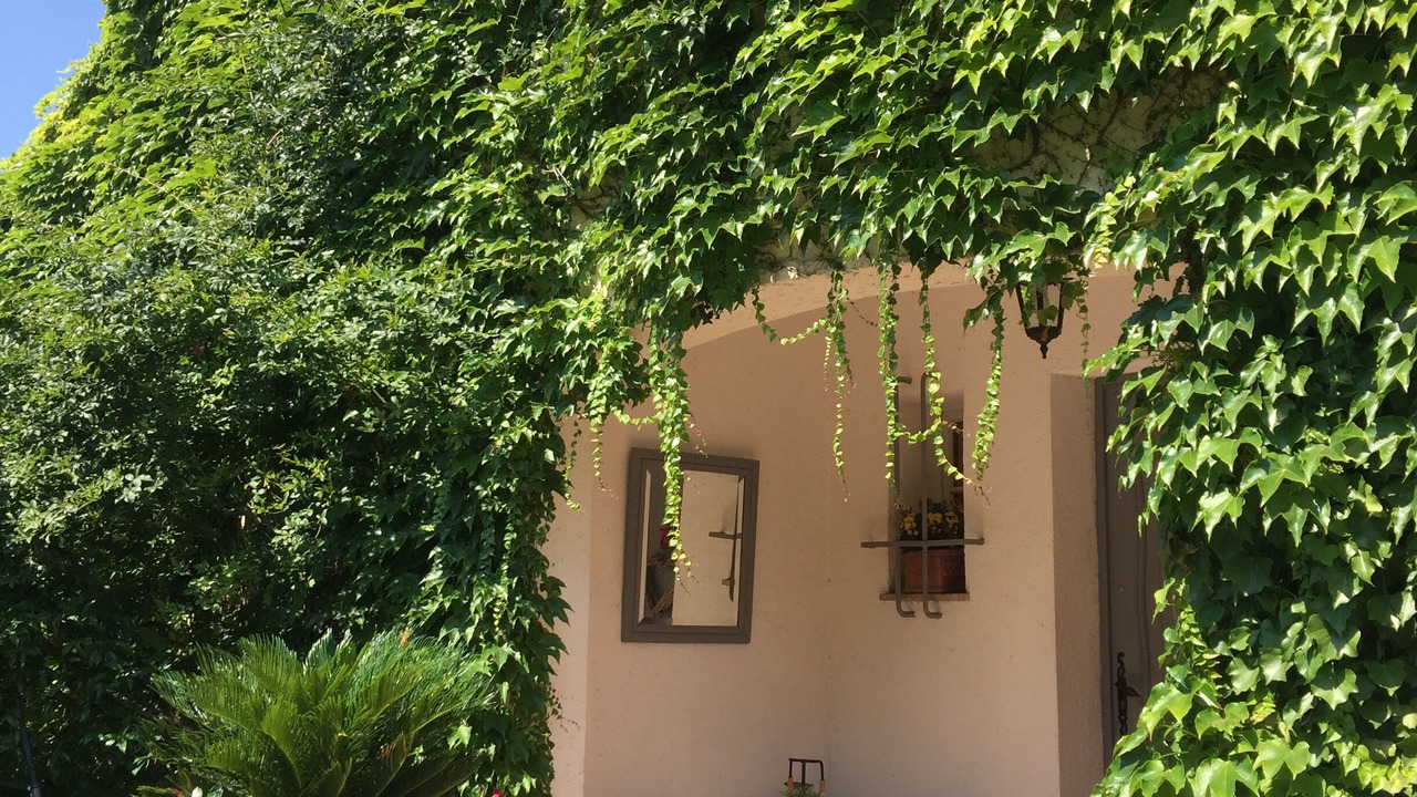 Photo of Outdoor in Le Cannet