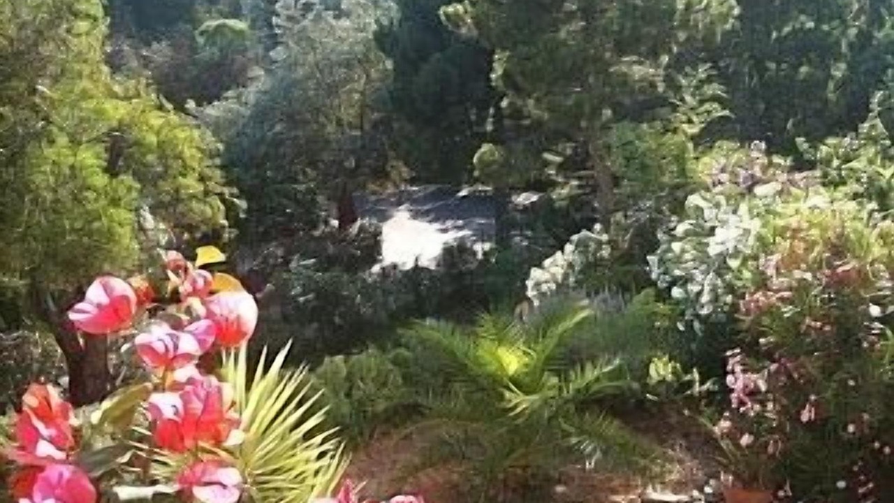 Photo of Outdoor in Rayol-Canadel-sur-Mer