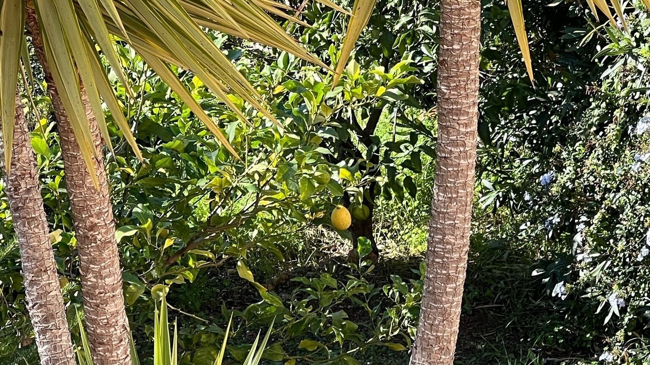 Photo of Outdoor in Rayol-Canadel-sur-Mer