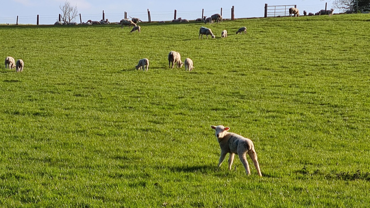 Photo of Others in Liverton