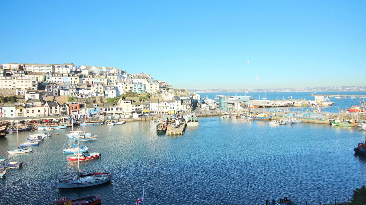 Photo of Others in Brixham