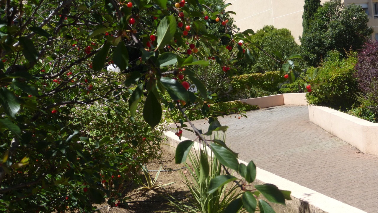 Photo of Outdoor in Gares