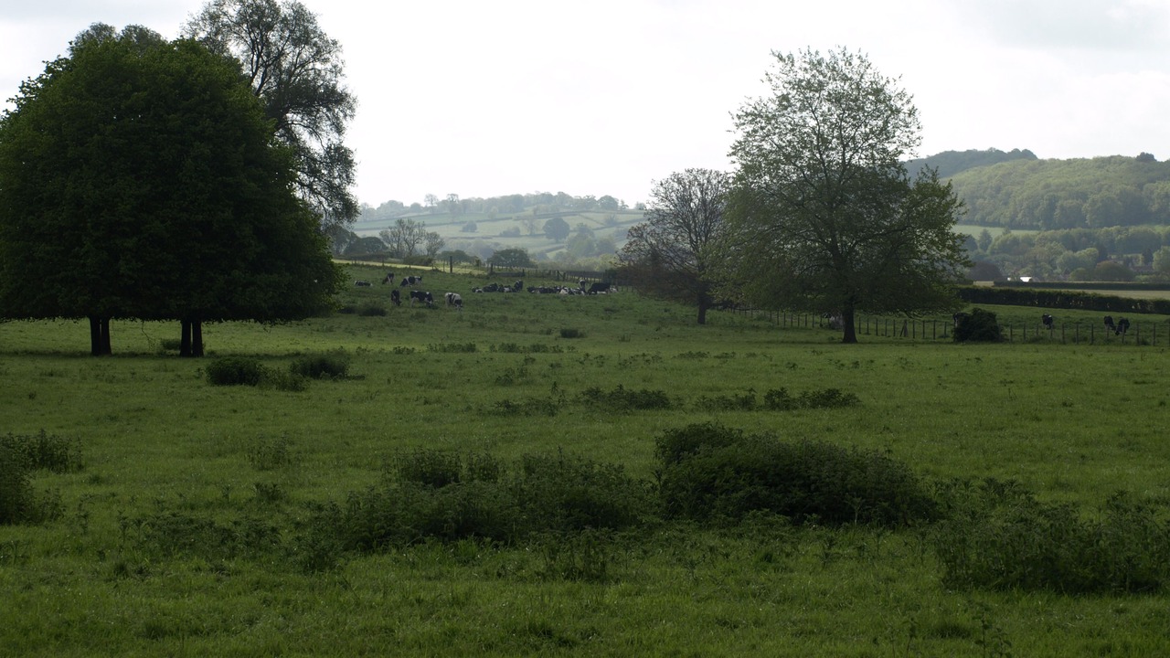 Photo of Others in Wells