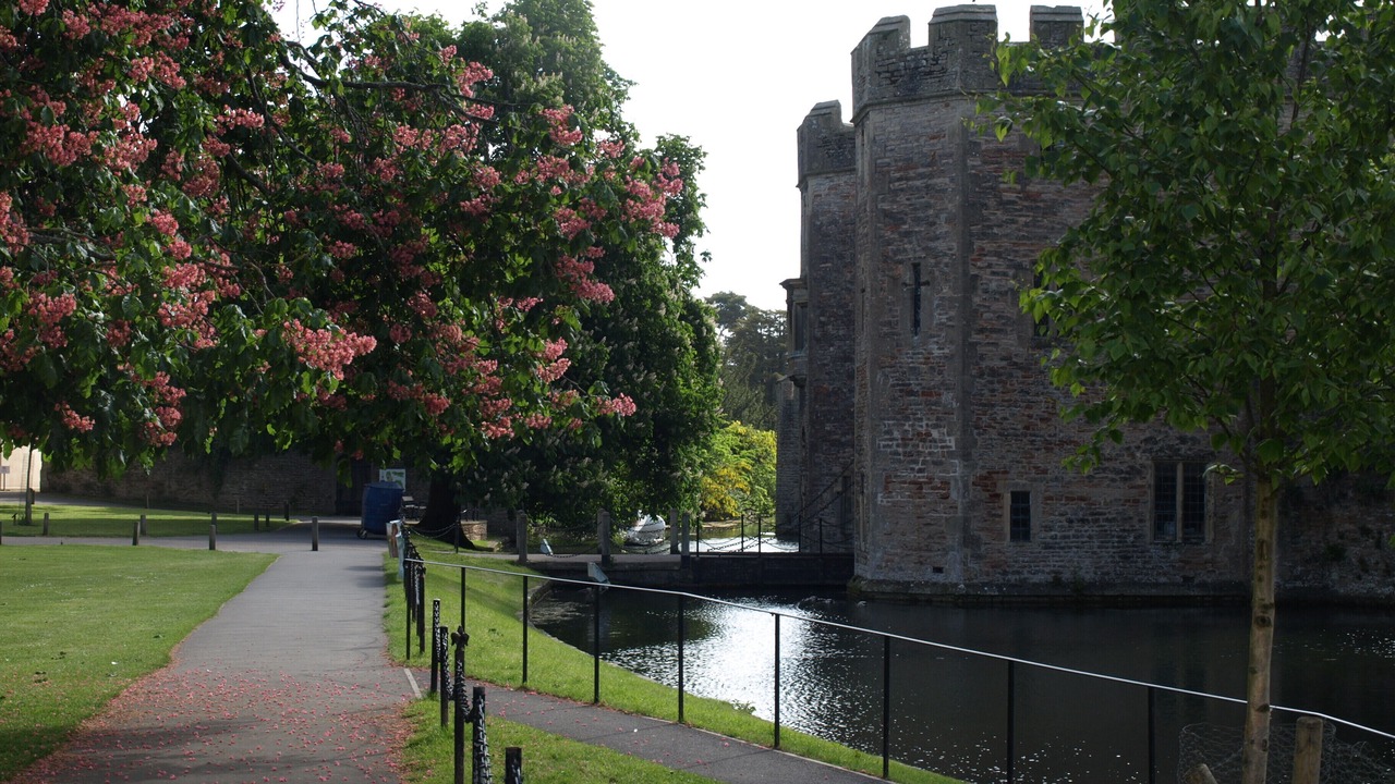 Photo of Others in Wells