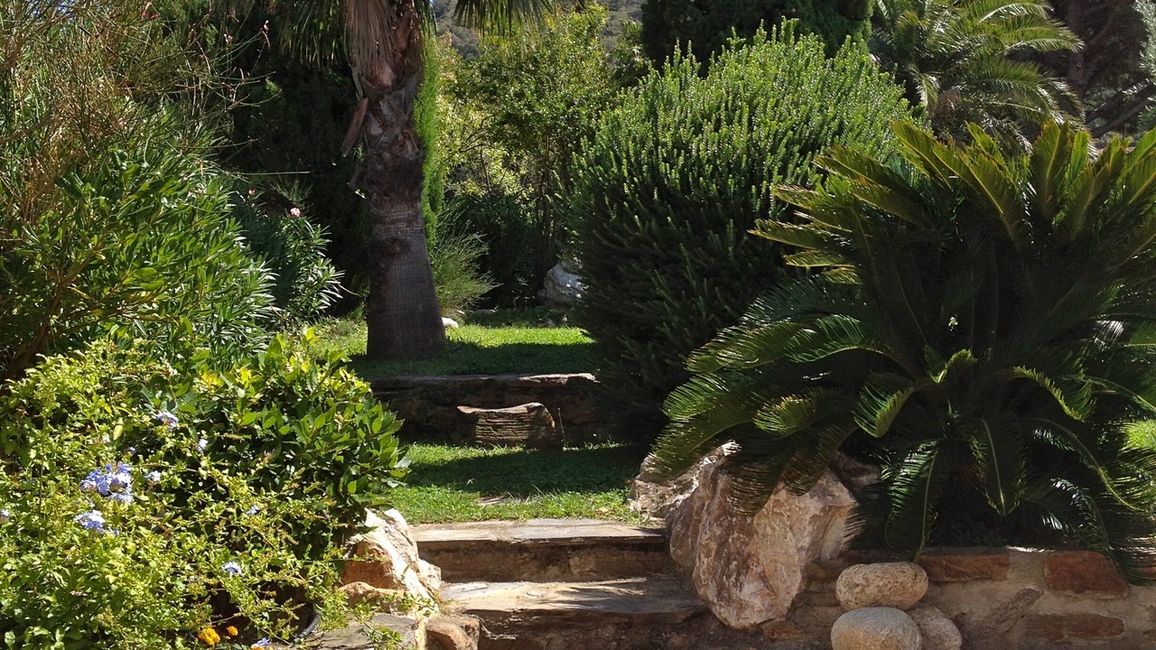 Photo of Outdoor in Collioure