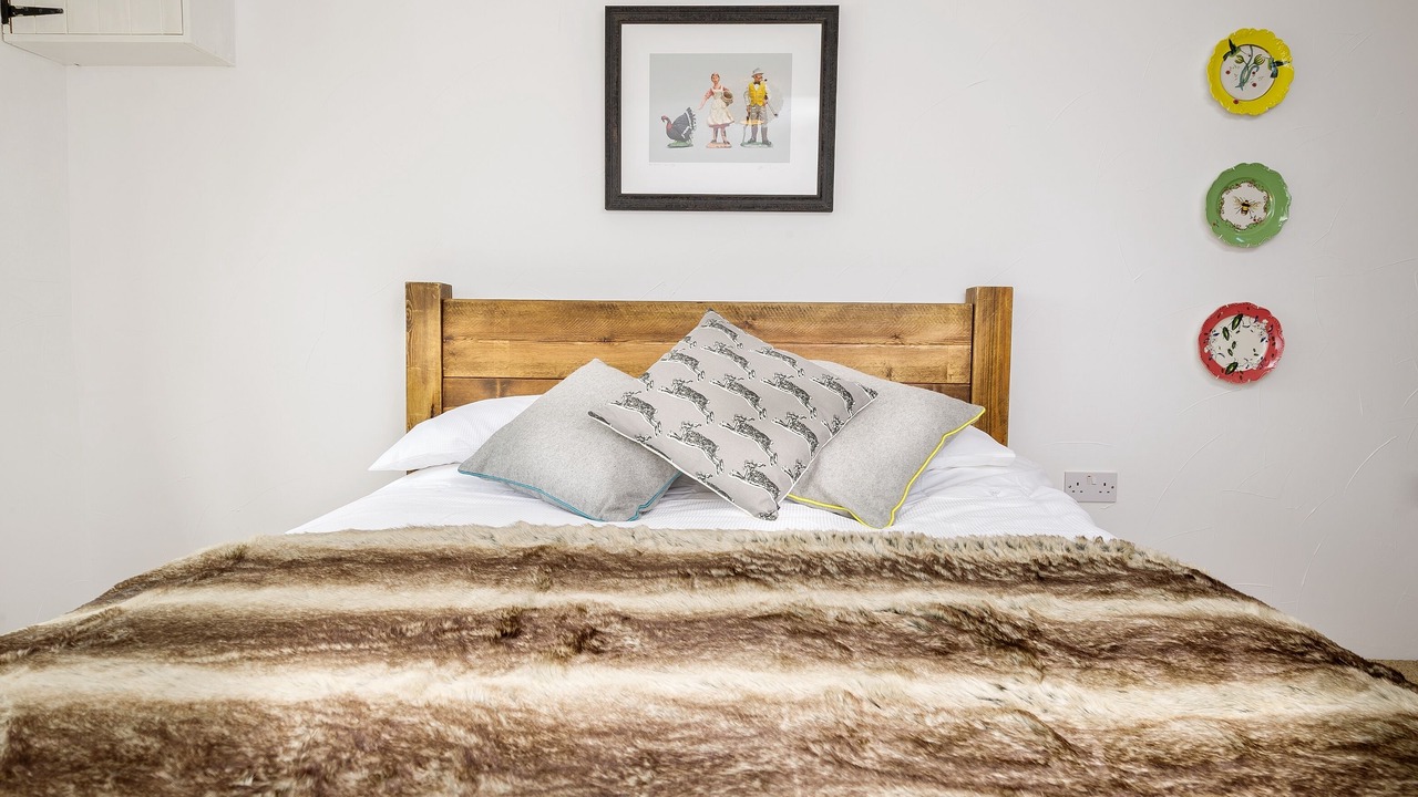 Photo of Others in Barnstaple