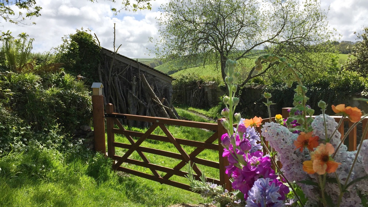 Photo of Others in Barnstaple