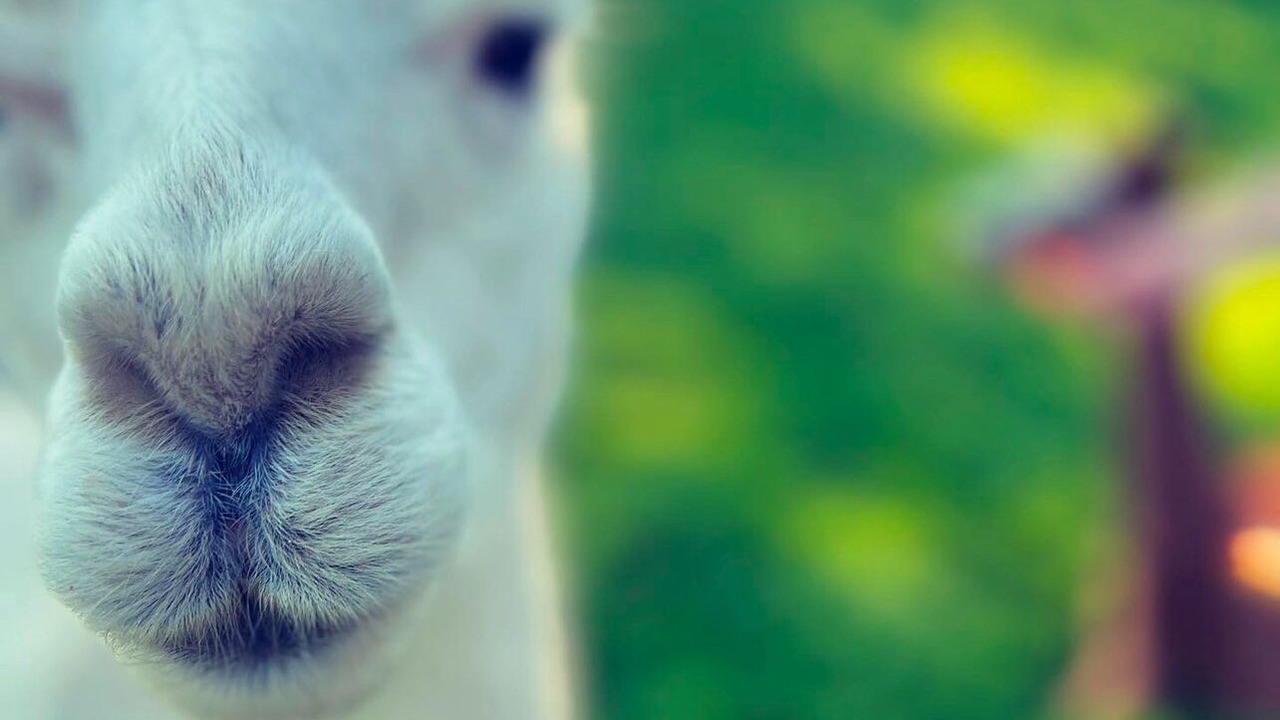 Photo of Others in Barnstaple