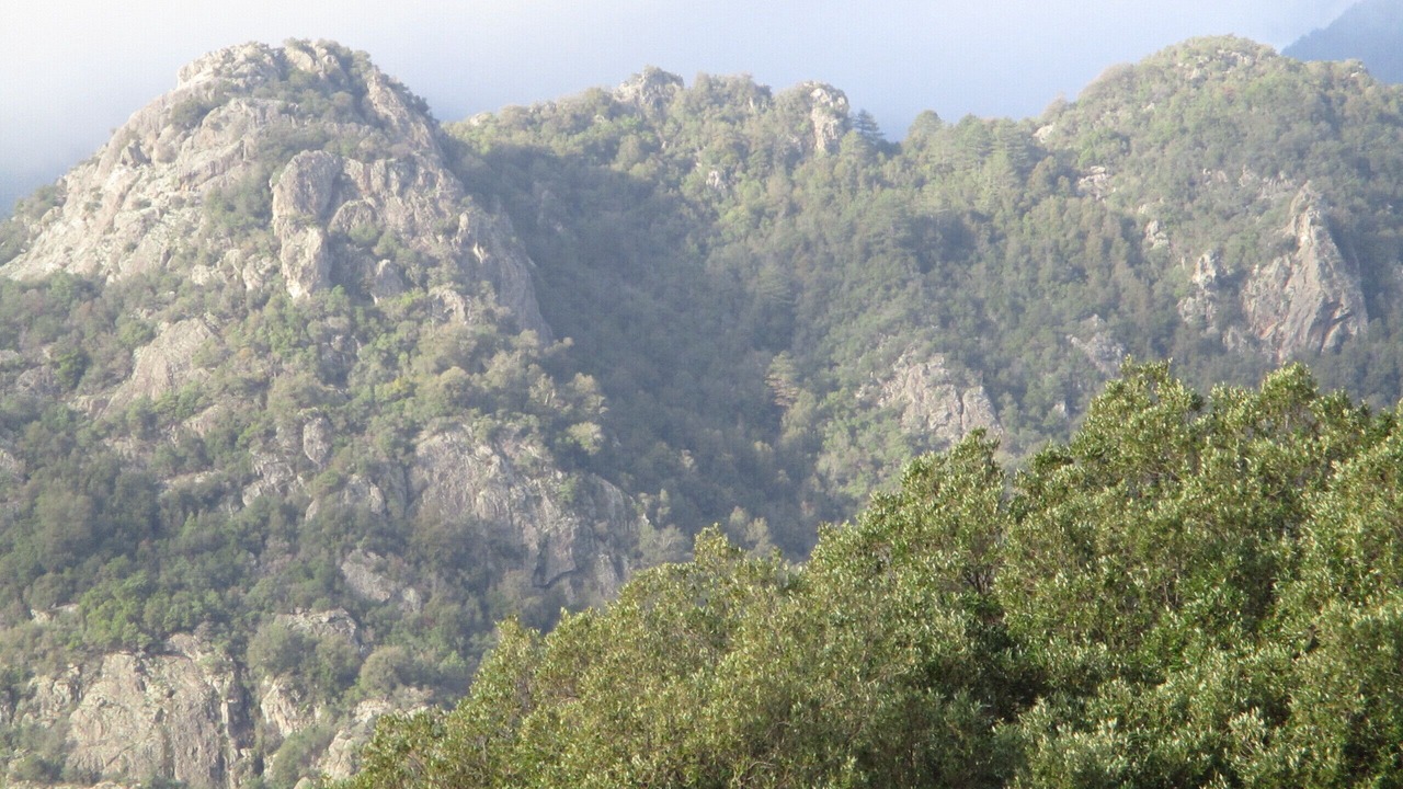 Photo of Others in Lugo-di-Nazza