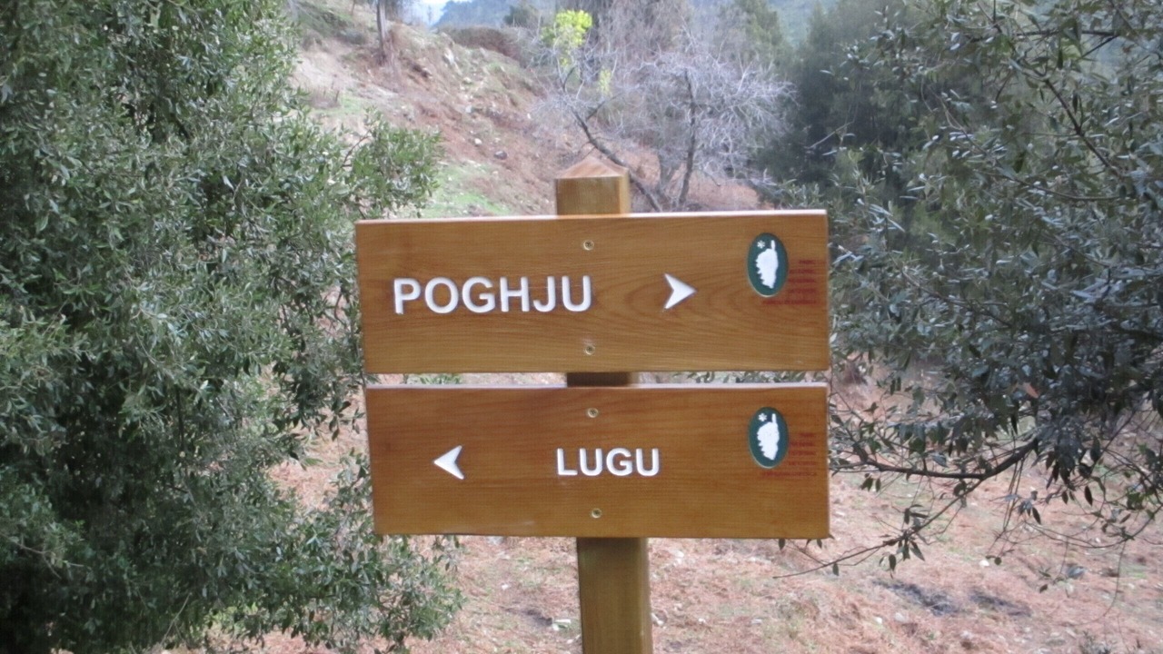 Photo of Outdoor in Lugo-di-Nazza