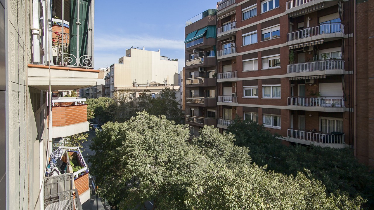 Photo of Outdoor in el Camp d'en Grassot i Gracia Nova