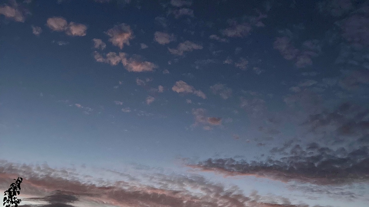 Photo of Others in Provincetown