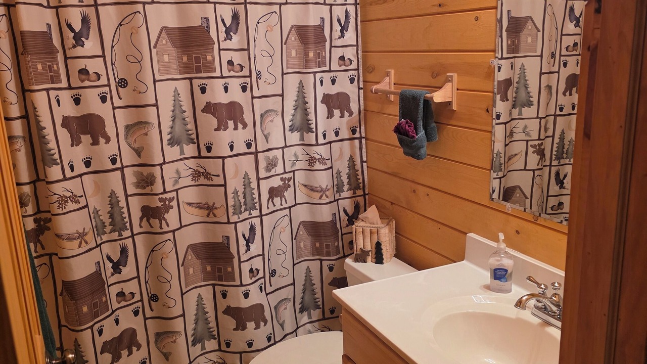 Photo of Bathroom in Hill City