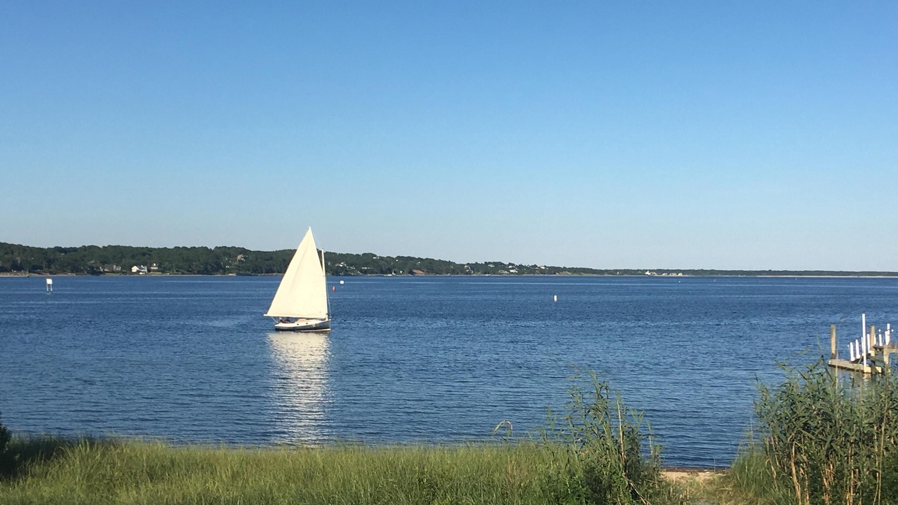 Photo of Others in Hampton Bays