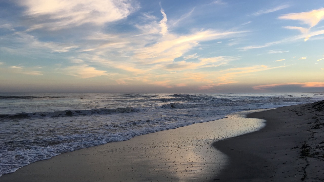 Photo of Others in Hampton Bays