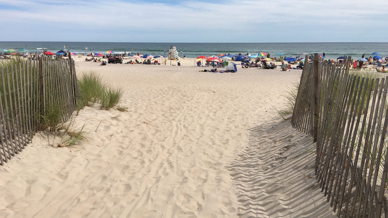 Photo of Outdoor in Hampton Bays