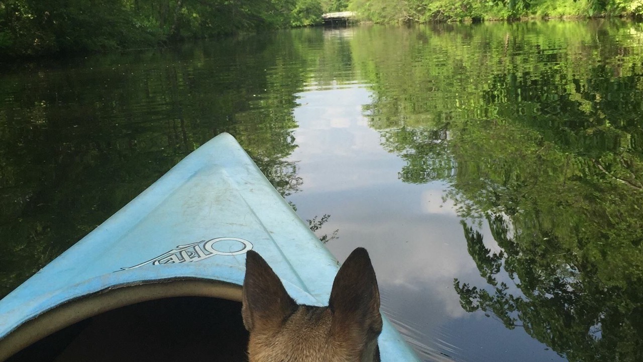 Photo of Others in Princeton
