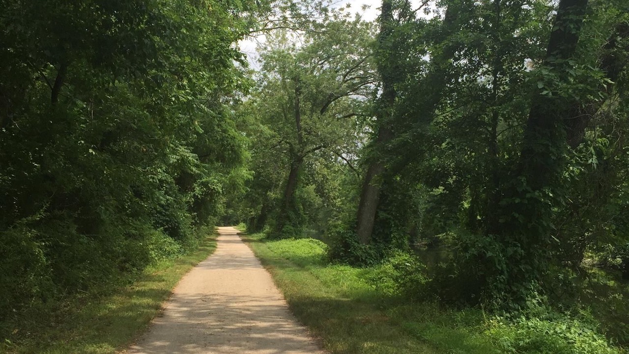 Photo of Others in Princeton