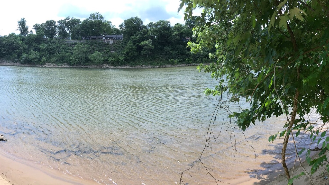 Photo of Others in Pennington Bend