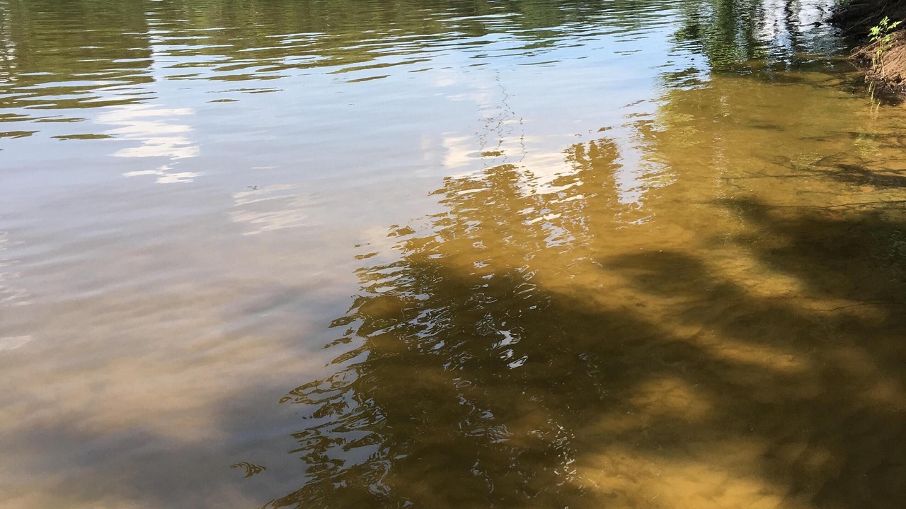 Photo of Others in Pennington Bend