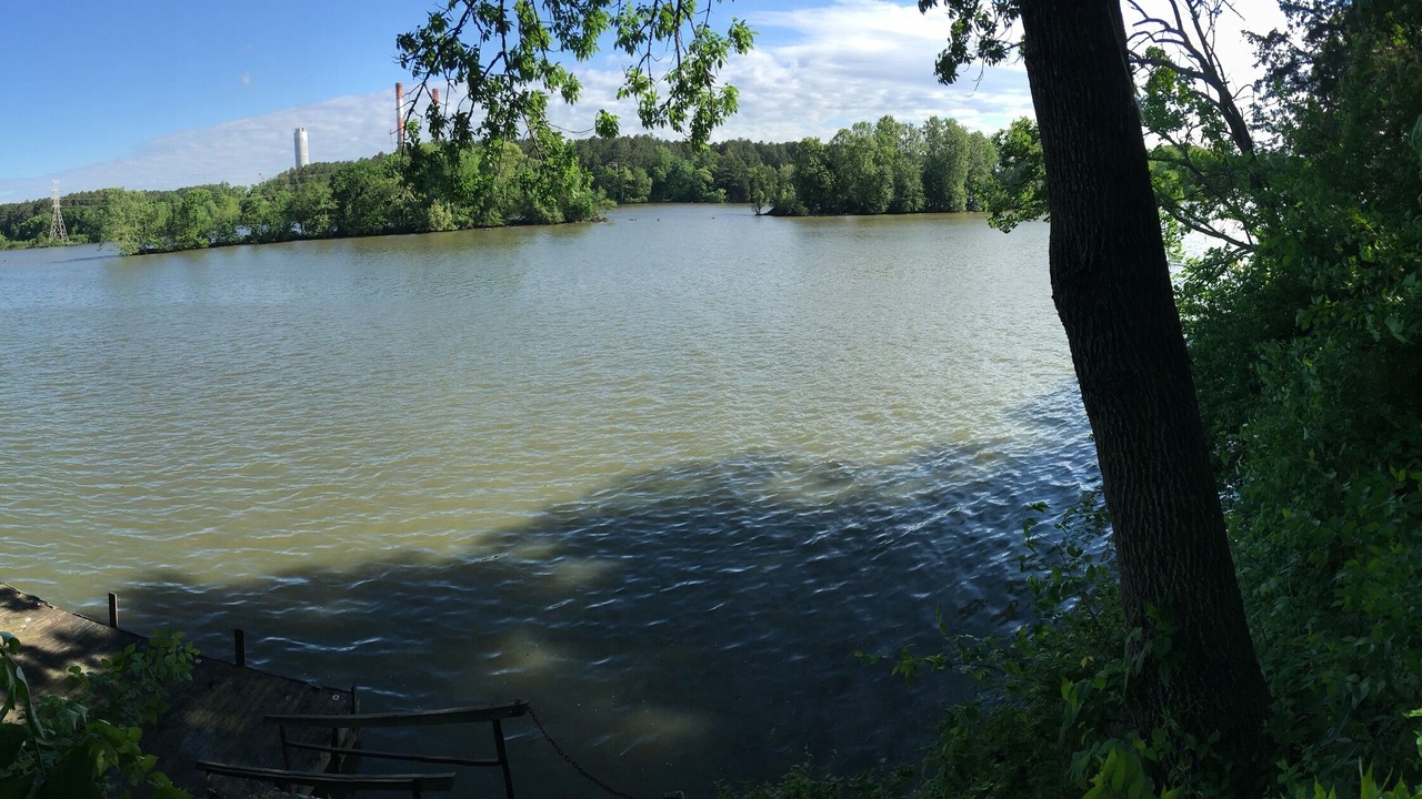 Photo of Others in Pennington Bend