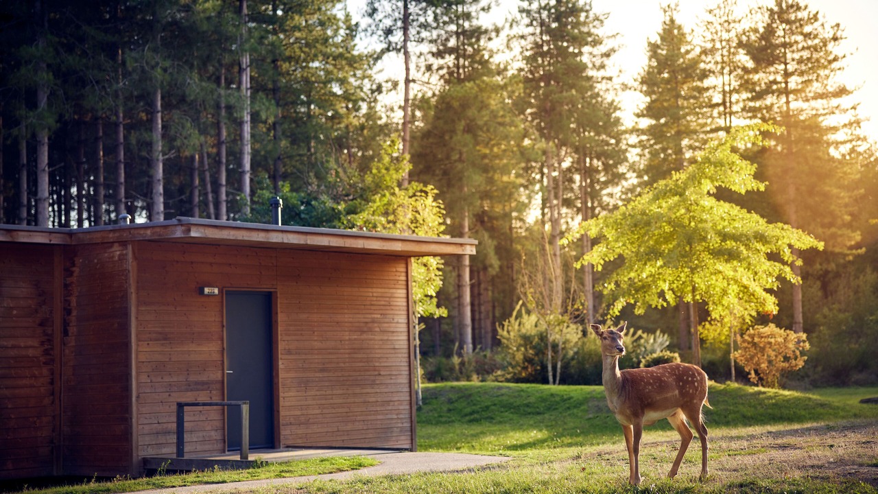 Photo of Outdoor in Les-Trois-Moutiers