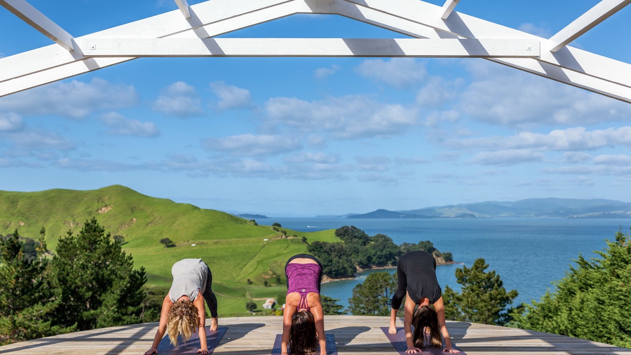 Photo of Others in Waiheke Island