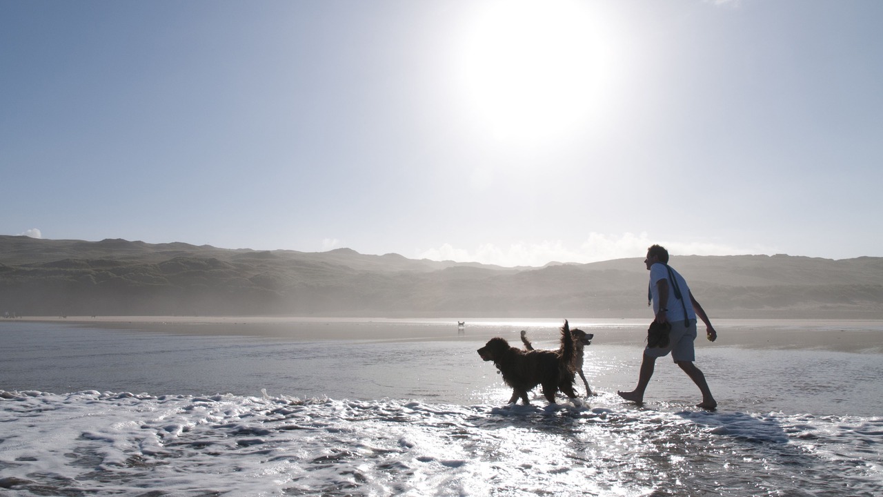 Photo of Others in Newquay