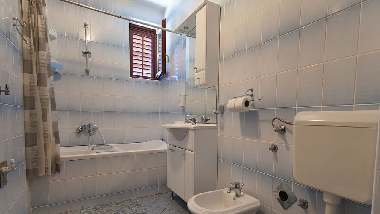 Photo of Bathroom in Milcetici