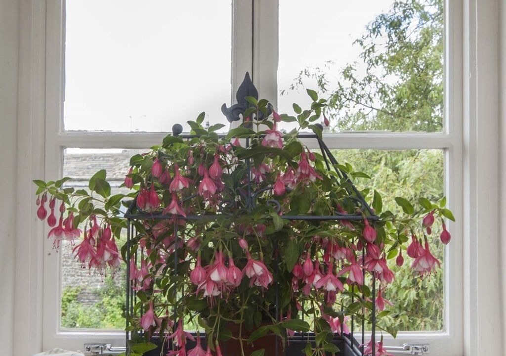 Photo of Others in Giggleswick