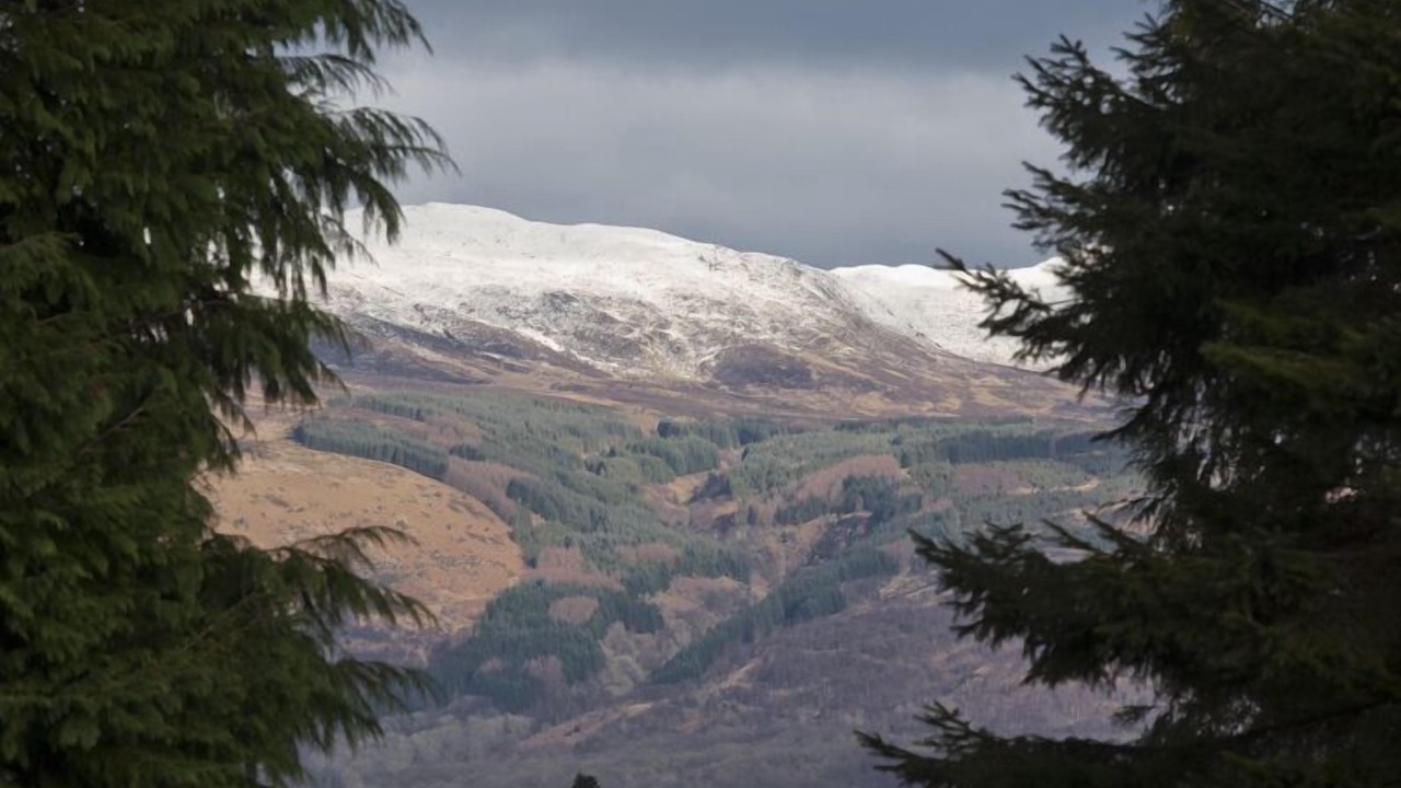 Photo of Others in Alexandria