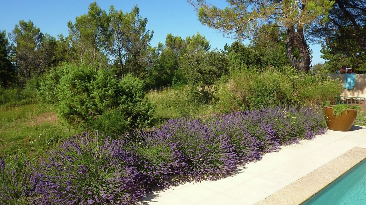 Photo of Outdoor in Saint-Siffret